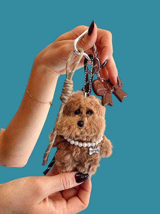 CHARM CAGNOLINO